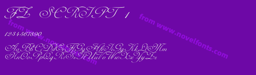 FZ SCRIPT 1Preview FZ SCRIPT 1Preview