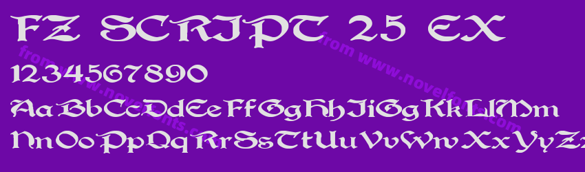 FZ SCRIPT 25 EXPreview FZ SCRIPT 25 EXPreview