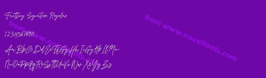 Fantting Signature RegularPreview Fantting Signature RegularPreview