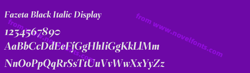 Fazeta Black Italic DisplayPreview Fazeta Black Italic DisplayPreview
