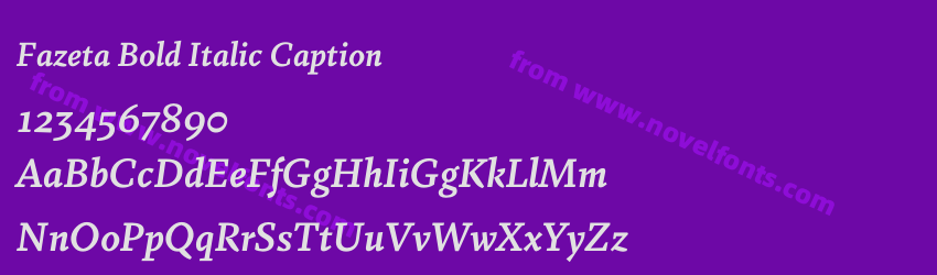 Fazeta Bold Italic CaptionPreview Fazeta Bold Italic CaptionPreview