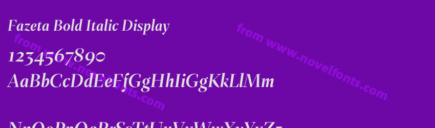 Fazeta Bold Italic DisplayPreview Fazeta Bold Italic DisplayPreview