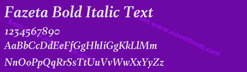 Fazeta Bold Italic TextPreview Fazeta Bold Italic TextPreview