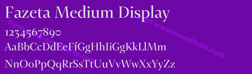 Fazeta Medium DisplayPreview Fazeta Medium DisplayPreview
