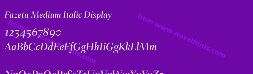 Fazeta Medium Italic DisplayPreview Fazeta Medium Italic DisplayPreview