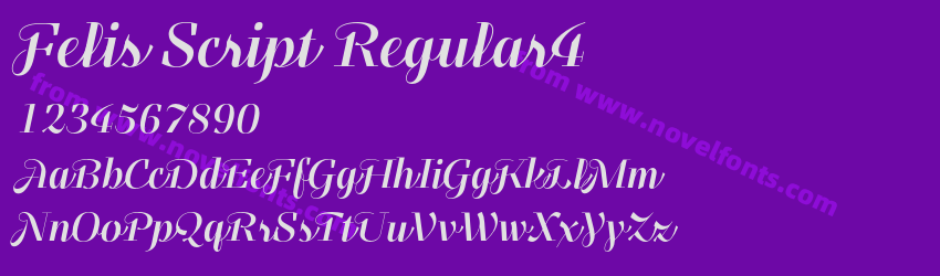 Felis Script Regular4Preview Felis Script Regular4Preview