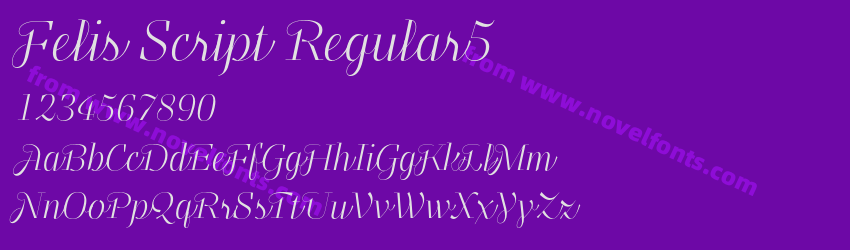 Felis Script Regular5Preview Felis Script Regular5Preview