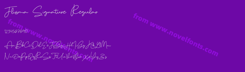 Flisma Signature RegularPreview Flisma Signature RegularPreview
