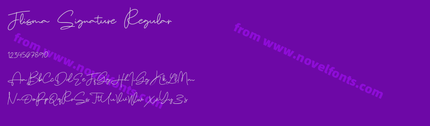 Flisma Signature RegularPreview
