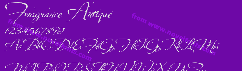 Fragrance AntiquePreview Fragrance AntiquePreview