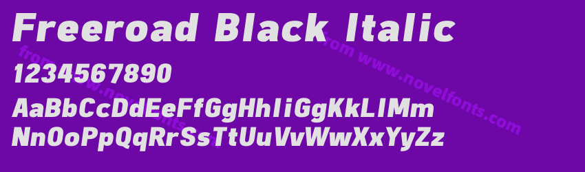 Freeroad Black ItalicPreview Freeroad Black ItalicPreview