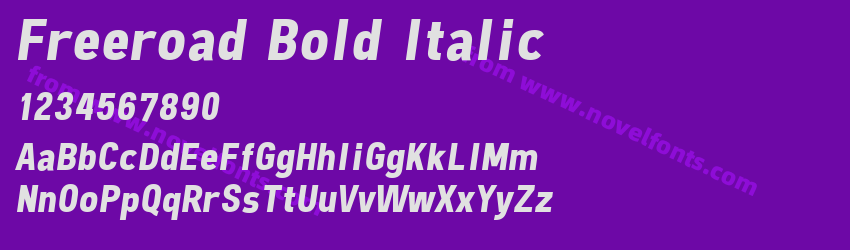 Freeroad Bold ItalicPreview Freeroad Bold ItalicPreview