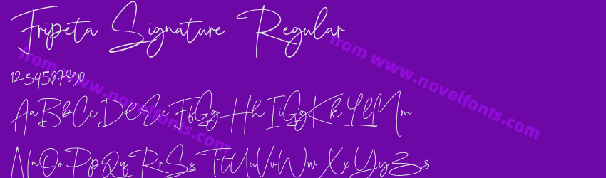 Fripeta Signature RegularPreview Fripeta Signature RegularPreview