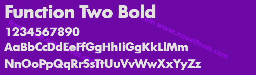 Function Two BoldPreview Function Two BoldPreview