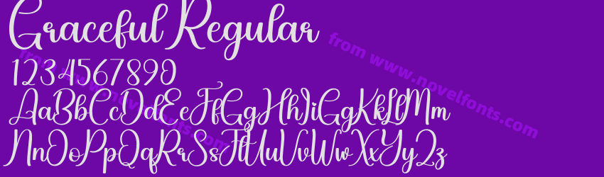 Graceful RegularPreview Graceful RegularPreview