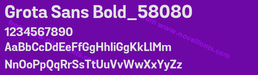 Grota Sans Bold_58080Preview Grota Sans Bold_58080Preview