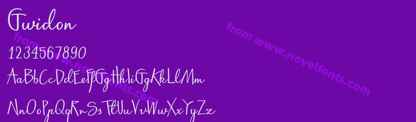 GwidonPreview GwidonPreview
