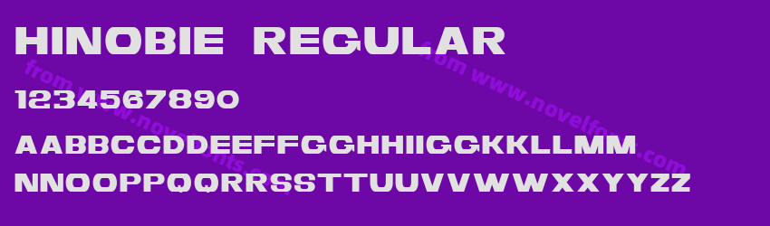 HINOBIE RegularPreview HINOBIE RegularPreview