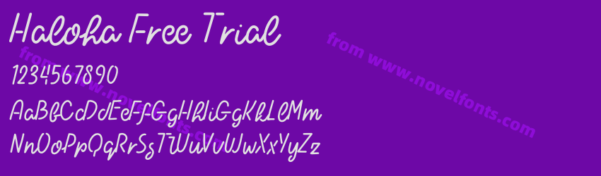 Haloha Free TrialPreview Haloha Free TrialPreview