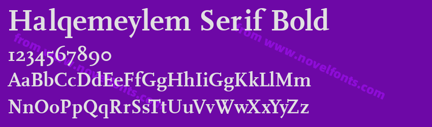 Halqemeylem Serif BoldPreview