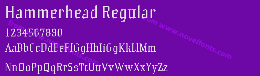 Hammerhead RegularPreview Hammerhead RegularPreview