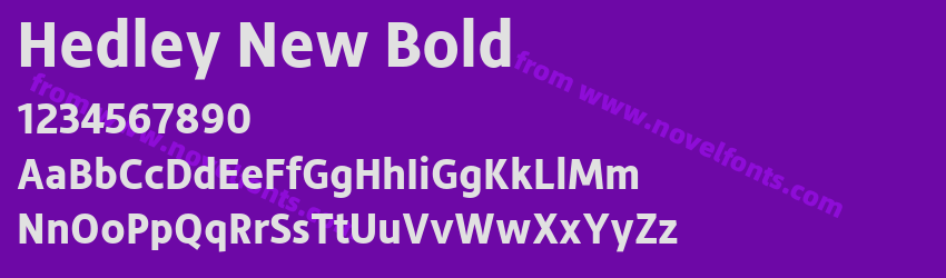 Hedley New BoldPreview Hedley New BoldPreview
