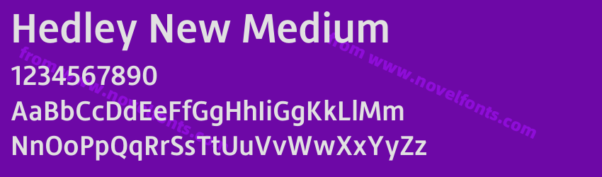 Hedley New MediumPreview Hedley New MediumPreview