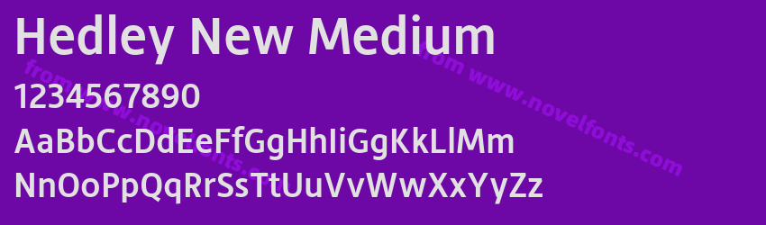 Hedley New MediumPreview Hedley New MediumPreview