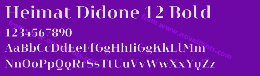 Heimat Didone 12 BoldPreview Heimat Didone 12 BoldPreview