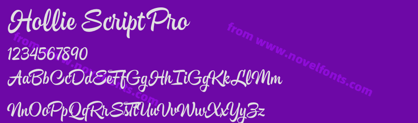 Hollie Script ProPreview Hollie Script ProPreview