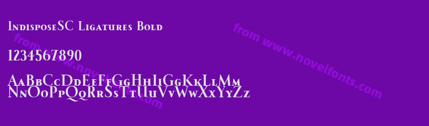 IndisposeSC Ligatures BoldPreview IndisposeSC Ligatures BoldPreview