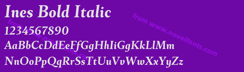 Ines Bold ItalicPreview Ines Bold ItalicPreview