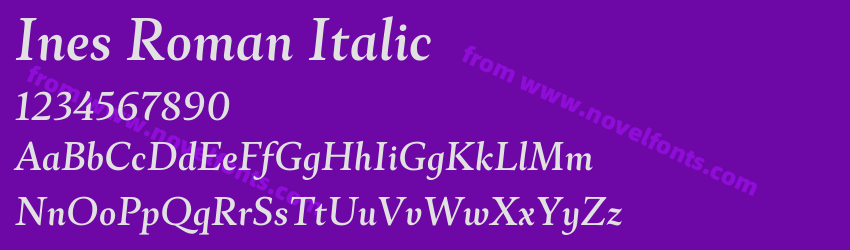 Ines Roman ItalicPreview Ines Roman ItalicPreview