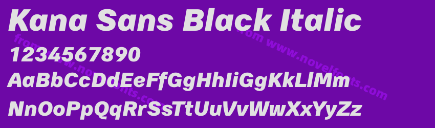 Kana Sans Black ItalicPreview Kana Sans Black ItalicPreview