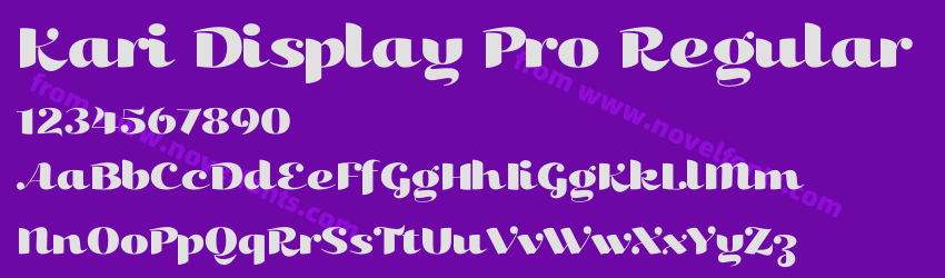 Kari Display Pro RegularPreview Kari Display Pro RegularPreview