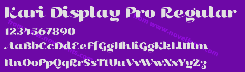 Kari Display Pro RegularPreview Kari Display Pro RegularPreview