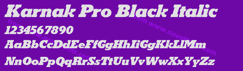 Karnak Pro Black ItalicPreview Karnak Pro Black ItalicPreview