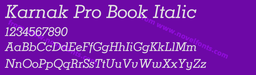 Karnak Pro Book ItalicPreview Karnak Pro Book ItalicPreview