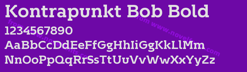 Kontrapunkt Bob BoldPreview