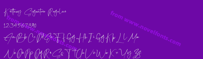 Krittany Signature RegularPreview Krittany Signature RegularPreview