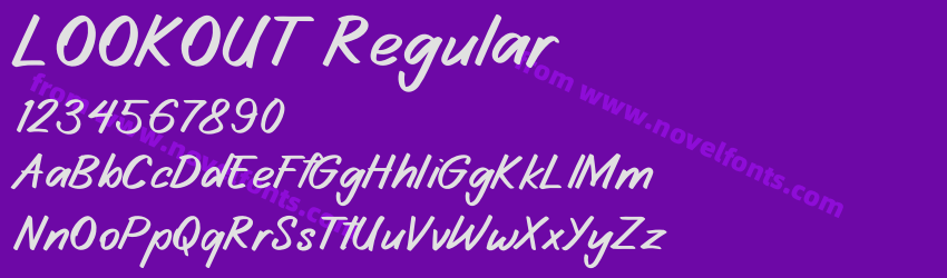 LOOKOUT RegularPreview LOOKOUT RegularPreview