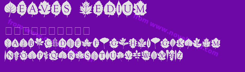 Leaves MediumPreview Leaves MediumPreview