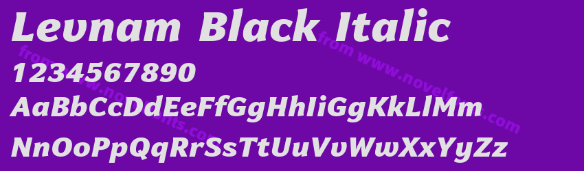 Levnam Black ItalicPreview Levnam Black ItalicPreview