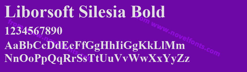 Liborsoft Silesia BoldPreview Liborsoft Silesia BoldPreview