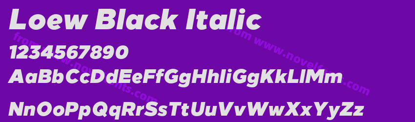 Loew Black ItalicPreview Loew Black ItalicPreview