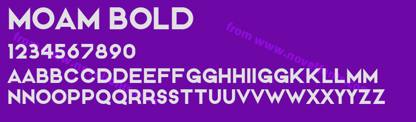 MOAM BoldPreview MOAM BoldPreview