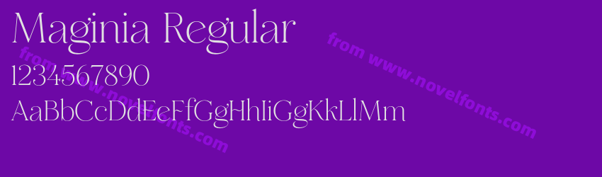Maginia RegularPreview Maginia RegularPreview