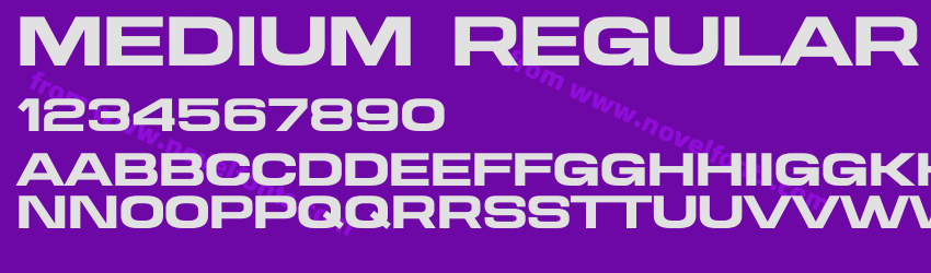 Medium RegularPreview Medium RegularPreview