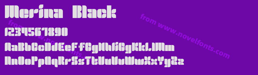 Merina BlackPreview Merina BlackPreview