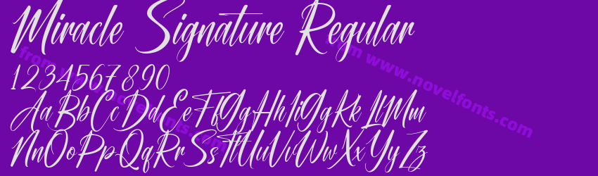 Miracle Signature RegularPreview Miracle Signature RegularPreview